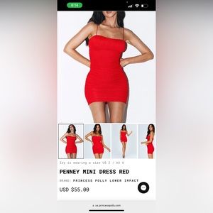 Penney Princess Polly Dress